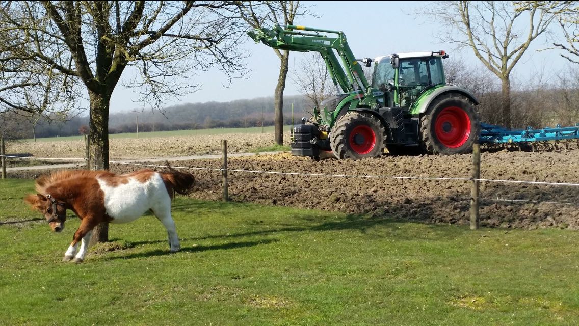 Ferienhof Rotthege in Everswinkel (Kreis Münster) - Urlaub auf dem Land, mit Kindern - Nicht nur als Ferienwohnung sondern auch als Monteurswohnung nutzbar - Hoftiere Pferd, Pony und Hund